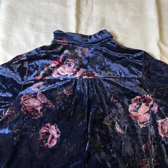 Women's Velvet L/S Floral Blouse Plus Size Dark Romance Whimsigoth Velour - Picture 7 of 10